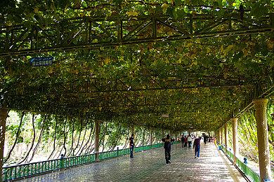 《海鸟野学的精神鉴定录》免费登陆Steam 克苏鲁背景ADV